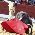 José María Manzanares en la plaza de toros de Ledesma, Salamanca