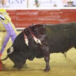Derechazo de Joselito Adame, en la tradicional corrida navideña de Santa María de Querétaro