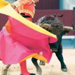 Vacío al calor de Morante