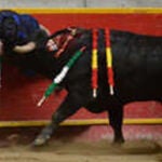 El banderillero «Monaguillo» sufre perforación de uretra e intestino