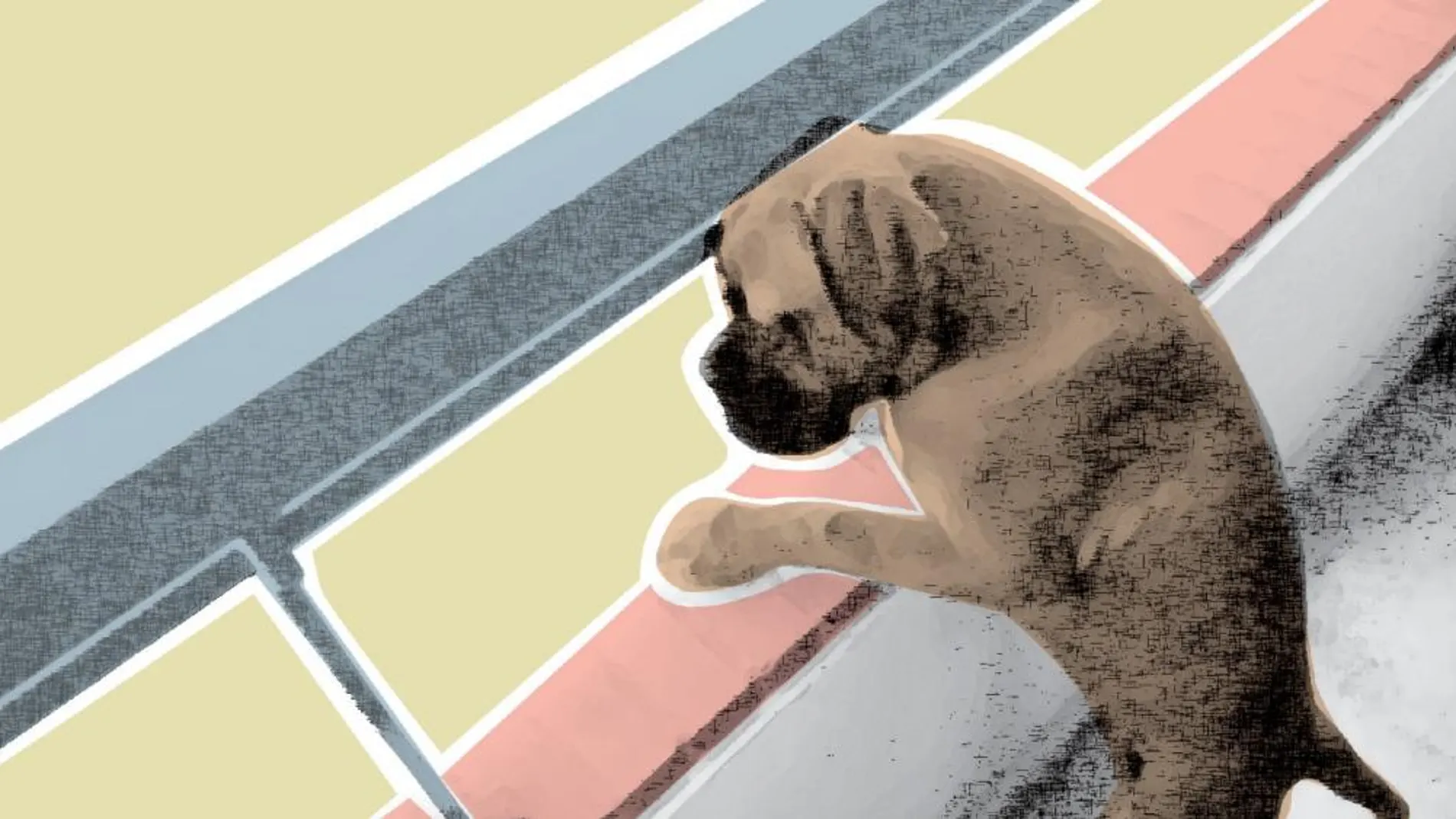 Según los expertos, los perros tienen estados de ánimo, sentimientos, recuerdos y problemas de conducta, pero actúan de forma primaria