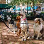 Matt Nelson on Unsplash