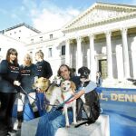 Voluntarios y perros maltratados desplegaron una pancarta en el Congreso animando a denunciar