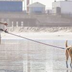 Paseos cortos para sobrevivir