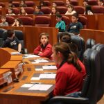 Un instante de la sesión plenaria que versó sobre la confianza en la que participaron un centenar de alumnos de Primaria de la Comunidad