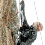 La escalada en hielo forma parte de la oferta de Naturiva