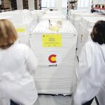 La Comunitat registra ya treinta casos sospechosos de gripe porcina