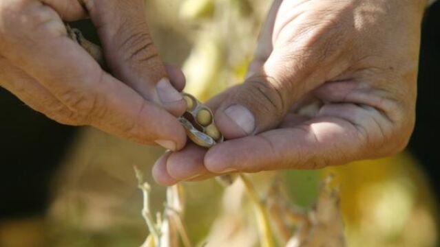 El acuerdo incluye la retirada por fases de los gravámenes