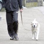 George Michael con Abby, en una imagen de archivo