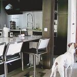 Espera, que llamo a mi perro