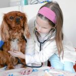 Al margen de las intervenciones específicas, también se organizan actividades con estos perros como «Juguemos a veterinarios»