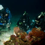 Científicos marinos de PharmaMar recogen muestras de macroorganismos durante una de sus expediciones