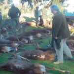 Un cazador con mala puntería