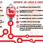 La ciencia busca cómo crear sangre