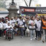 La organización protectora de animales El Refugio ha celebrado hoy la quinta edición de la carrera de canes Sanperrestre Urban Tour, que cada año reúne a cientos de mascotas. Este evento se ha convertido en una tradición de la Navidad madrileña para todos aquellos que conviven con perros.