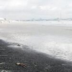 Cerco a la impunidad por los vertidos contaminantes