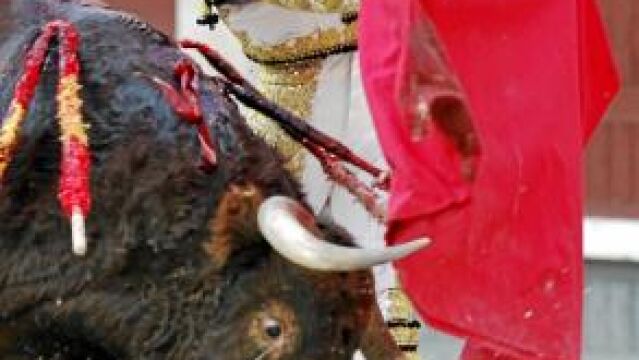 Robleño ejecuta un pase de pecho al 5º de la tarde