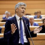 El ministro del Interior, Fernando Grande-Marlaska, durante la sesión del pleno del Senado, hoy en Madrid. Foto: EFE/Juan Carlos Hidalgo