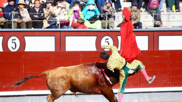 Una ingrata cornada y seis gélidos silencios