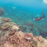 El encuentro abordó aspectos como la ecología marina o el descubrimiento y desarrollo de fármacos