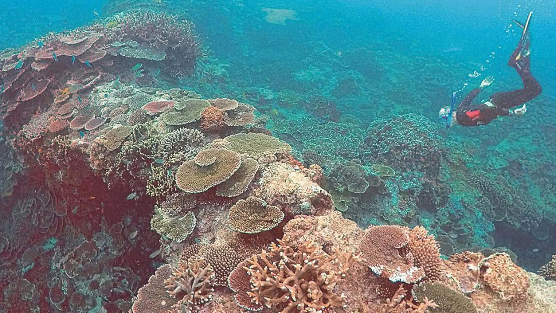 El encuentro abordó aspectos como la ecología marina o el descubrimiento y desarrollo de fármacos