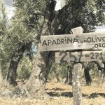 Voluntariado medioambiental desde el salón de casa