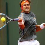 El español David Ferrer