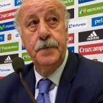 Vicente del Bosque