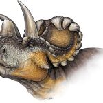 Reconstrucción del Wendiceratops pinhornensis