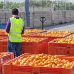 La Guardia Civil, con sus grupos Roca, investiga los robos agrícolas. Foto archivo