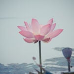 5 cosas que no sabías sobre la meditación