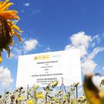 El almacén de Villar de Cañas estará autorizado para albergar residuos 60 años, aunque se diseñará para 100