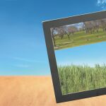 Un muro verde para frenar el avance del desierto