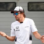 Fernando Alonso.