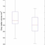 Influencia de la meditación en la materia gris del cerebro