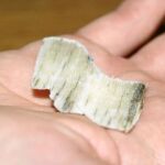 Un pedazo de cuerno de rinoceronte, muy cotizado en el mercado negro