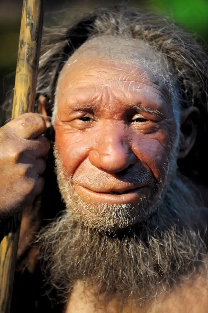 Maniquí de Neandertal anciano
