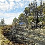La cortina de humo originada por el incendio de Rodrigatos de la Obispalia obligó al corte de la A-6 en sentido Madrid