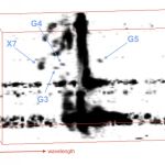 Descripción de los objetos hallados en el centro de la Vía Láctea / www.keckobservatory.org