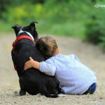 Los beneficios para los niños de tener perro son muy numerosos 