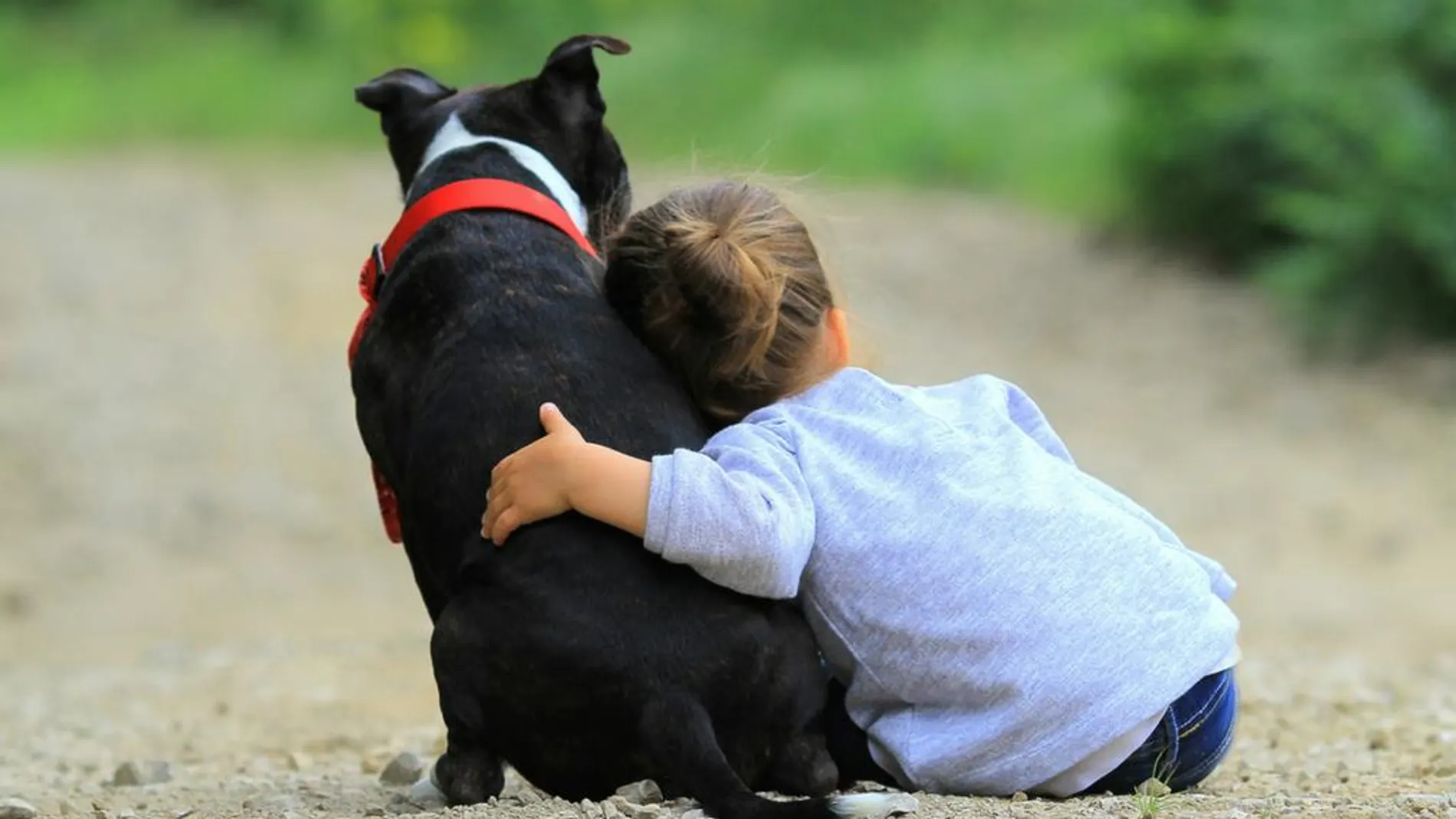 Los beneficios para los niños de tener perro son muy numerosos