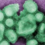 Impotencia ante los virus