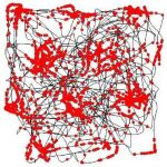 Trayectoria de una rata (en negro) sobre una plataforma cuadrada. En rojo, los puntos en los que las células de red se activan para que la rata se oriente