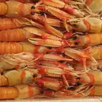 Marisco listo para su venta