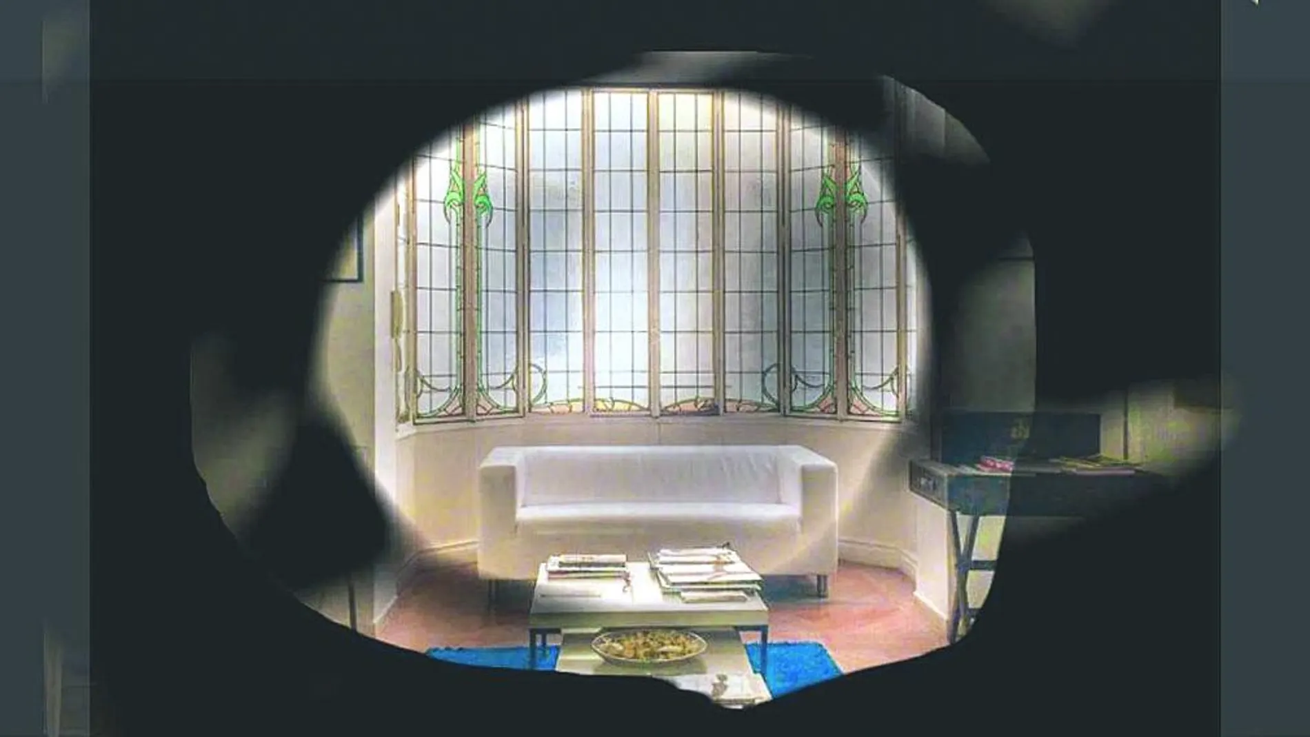 Imagen que simula la visión que podría tener un paciente con un glaucoma moderado
