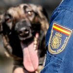 Un agente de la Policía Nacional con uno de sus fieles compañeros en el trabajo