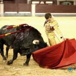 Adrián Salenc toreando al natural en Las Ventas