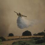 Labores de extinción del incendio forestal que se ha producido en la localidad zamorana de Pino del Oro.