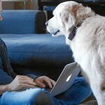 Ed Antoja, director, productor y guionista del documental que persigue concienciar sobre cómo nuestros hábitos diarios afectan a los animales