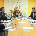 La consejera Pilar del Olmo se reúne con representates de todos los grupos